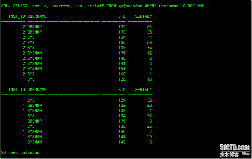 Oracle 10g RAC On Linux Using NFS_Linux_88