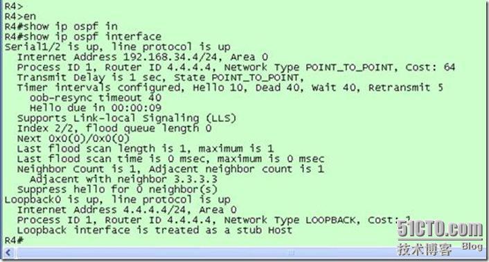 点到点链路上的OSPF协议_协议_04