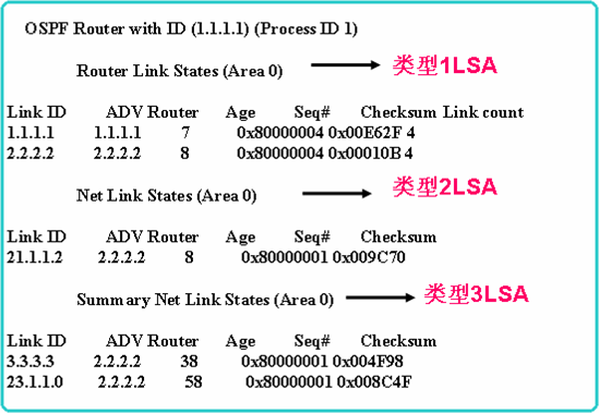 OSPF分解试验部分-LAB4：配置OSPF多区域_分解_05