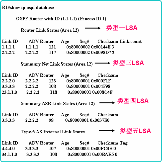 OSPF分解试验部分-LAB5:OSPF STUB区域_区域_03