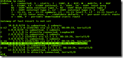 OSPF四类和五类LSA及路由重分发后的路由表的显示问题疑惑_OSPF_03