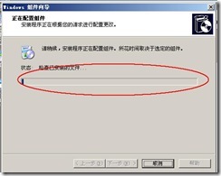 server 2003 web server (附图）_server_08