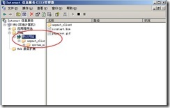 server 2003 web server (附图）_web_11