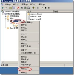 server 2003 web server (附图）_职场_14