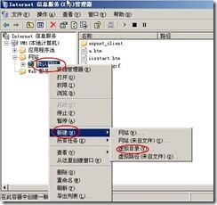 server 2003 web server (附图）_server_29