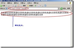 server 2003 web server (附图）_server_39