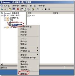 server 2003 web server (附图）_server_50