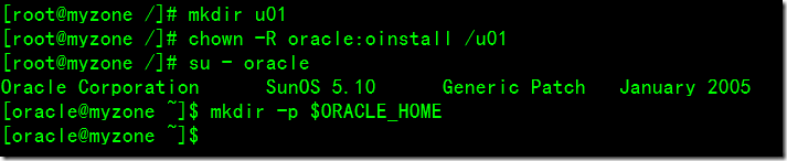 solaris zone中安装oracle with ASM_ASM_08