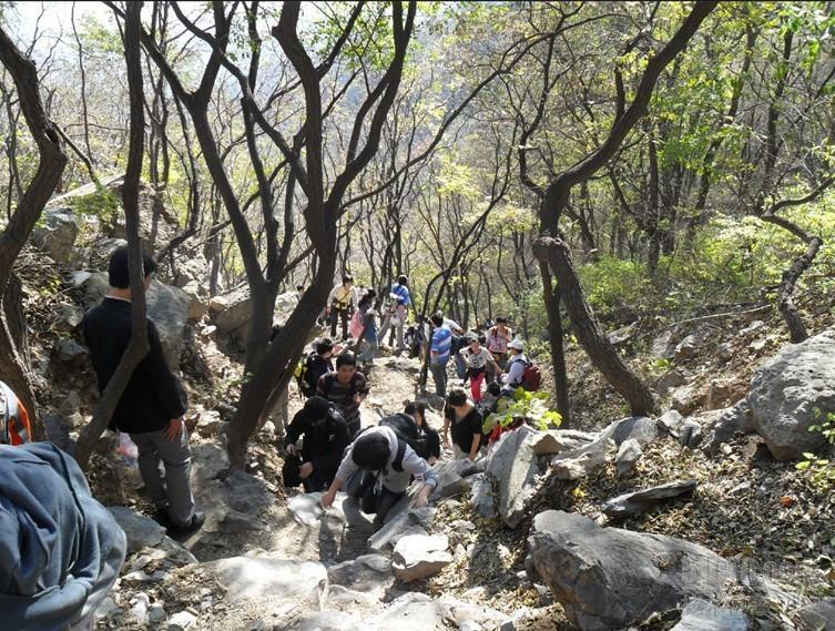 北京51cto线下活动--从香山到植物园记录的点点滴滴_休闲_30