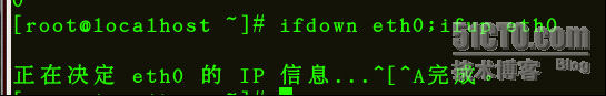 linux搭建dhcp_linux_09