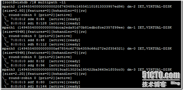 LINUX下多路径（multi-path）介绍及使用_51CTO博客_linux Path