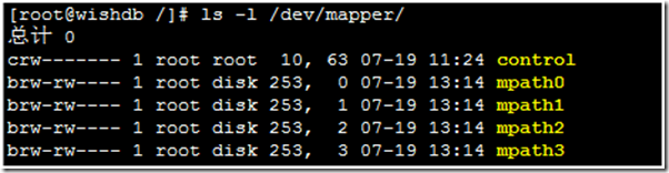 LINUX下多路径（multi-path）介绍及使用_多路径_05