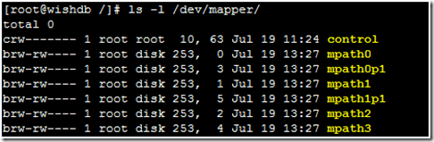 LINUX下多路径（multi-path）介绍及使用_LINUX_08