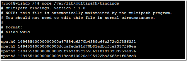 LINUX下多路径（multi-path）介绍及使用_LINUX_10