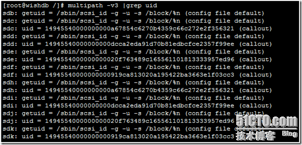 LINUX下多路径（multi-path）介绍及使用_LINUX_11