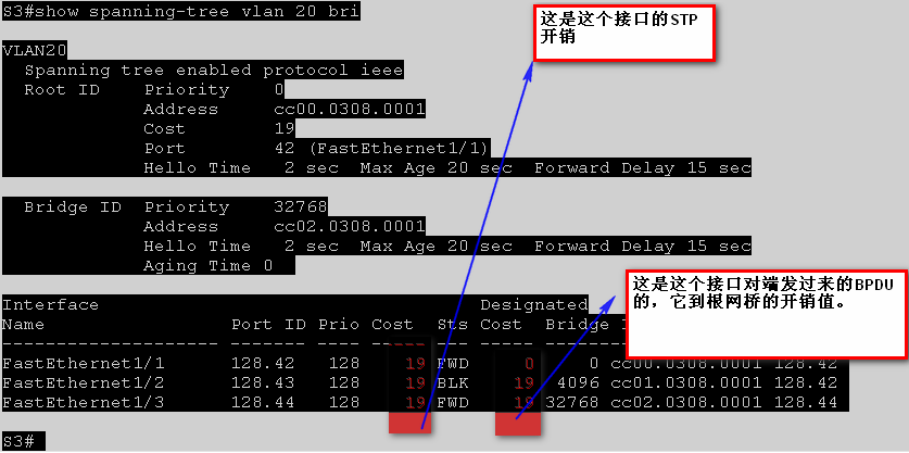 STP选举过程分析_交换机_02