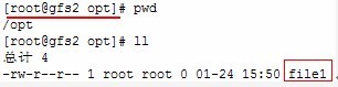 最新linux搭建gfs系统--iscsi+GFS实现网络存储_gfs详解_11