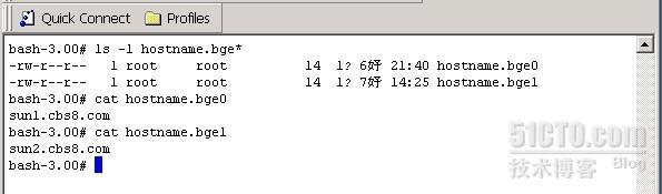 solaris10 网络配置---IP_solairs_02