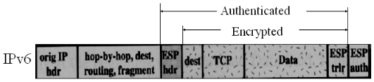 IPSec工作原理_IPSec_10