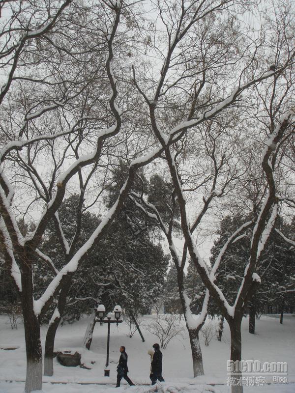 雪中游颐和园_休闲