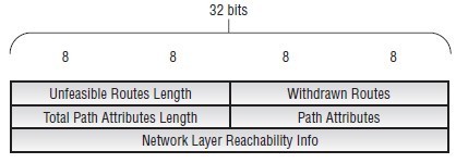 BGP Update信息_bgp