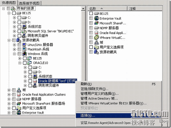 Backup Exec 2010在Windows平台下Oracle备份详细配置步骤_休闲_13