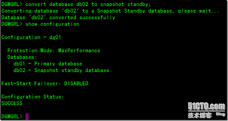 DataGuard之Configure And Use A Snapshot Standby Database_blank_05