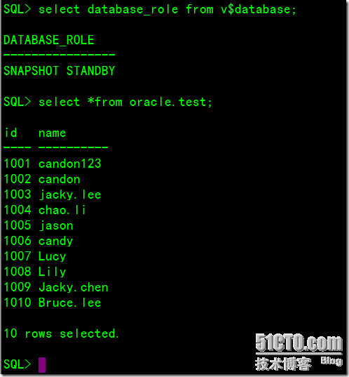 DataGuard之Configure And Use A Snapshot Standby Database_休闲_06