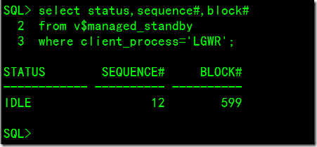 DataGuard之Configure And Use A Snapshot Standby Database_数据库_07