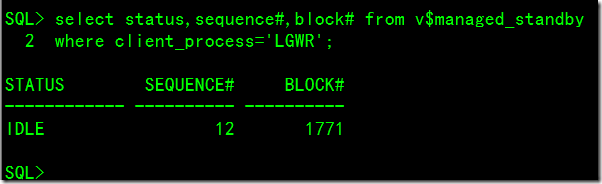 DataGuard之Configure And Use A Snapshot Standby Database_blank_11