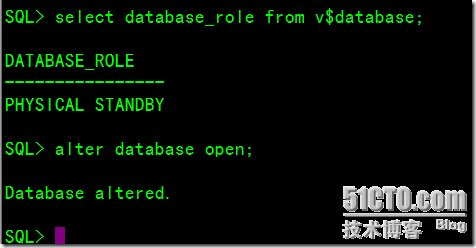 DataGuard之Configure And Use A Snapshot Standby Database_数据库_15