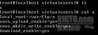 建立基于虚拟用户的vsftp服务_vsftp_10
