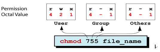 浅谈Linux用户权限管理之三（文件与权限的设定）_文件与权限的设定_03