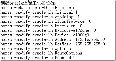 Configure Oracle HA On Solaris With  VCS_虚拟机_08