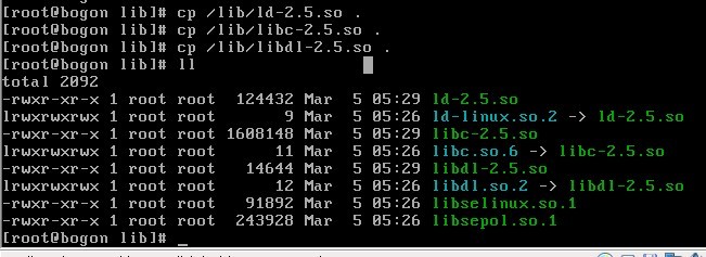 修改initrd，创建一个微型的linux系统_initrd 理解系统启动 minili_03
