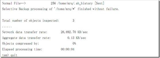 Tivoli Storage Manager安装配置_安装配置_32