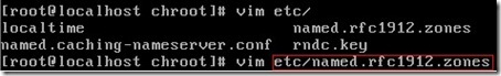 BIND构建主域名服务器_linux_08