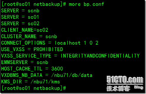 Configure Netbackup 7.1 HA In Solaris Cluster_客户端_16