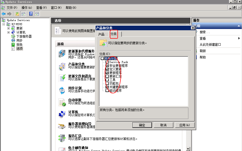 Windows2008 R2下WSUS 3.0 SP2的安装_职场_26