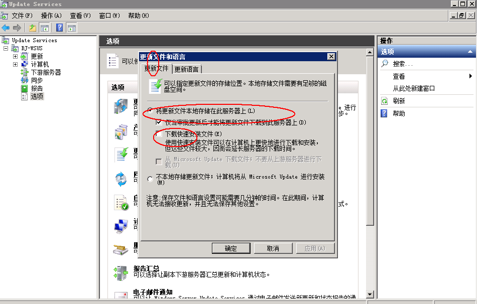 Windows2008 R2下WSUS 3.0 SP2的安装_WSUS_27