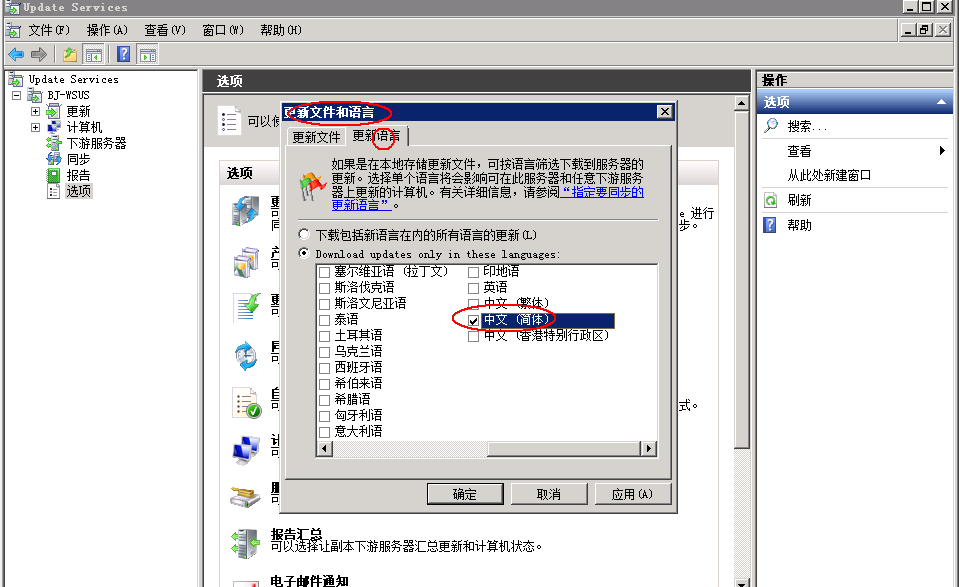 Windows2008 R2下WSUS 3.0 SP2的安装_休闲_28