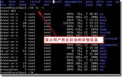 Linux基础命令的使用_休闲_02