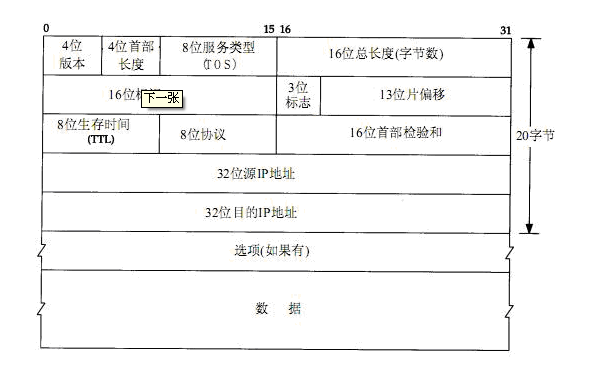 IP包头详解_职场