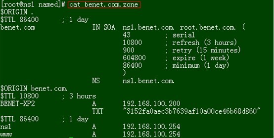 Red Hat Linux 5.4 DDNS(DHCP+DNS)详细配置过程_DHCP_45