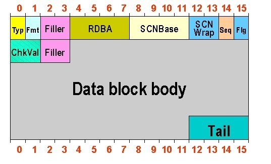 Oracle data block详解（一）_data_02