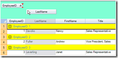 Spread for Windows Forms快速入门(12)---数据分组（Outlook风格）_Spread_02