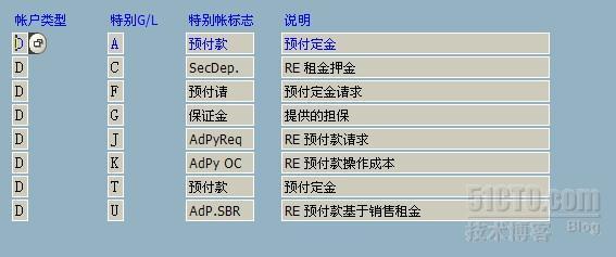 SAP中配置“特别总帐标志” SGL_休闲