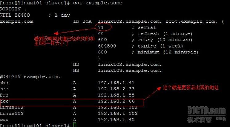 linux主辅DNS的搭配_dns_13