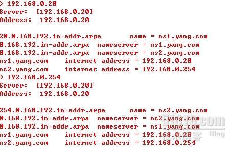 RHEL5下搭建DNS服务器_配置_04