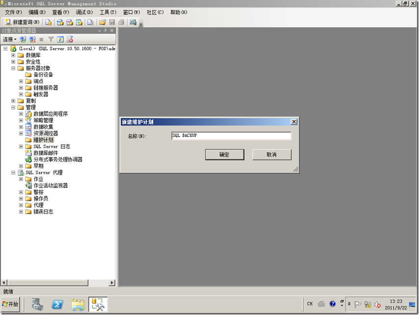 Symantec Backup Exec 备份解决方案_SQL数据库_05